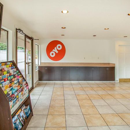 Oyo Hotel Centralia Dış mekan fotoğraf
